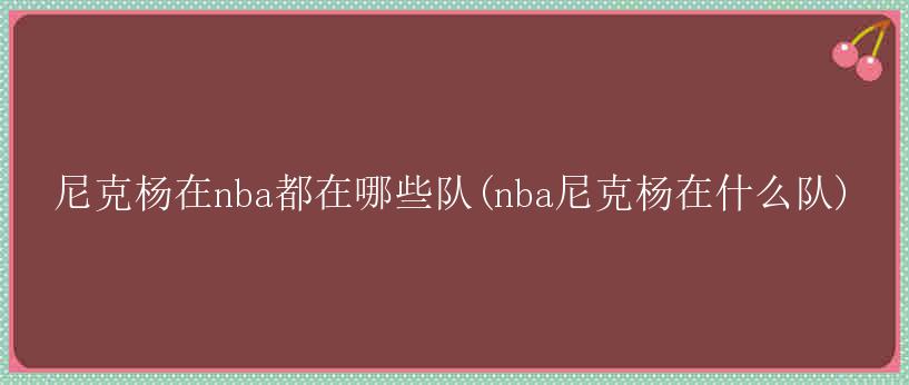 尼克杨在nba都在哪些队(nba尼克杨在什么队)