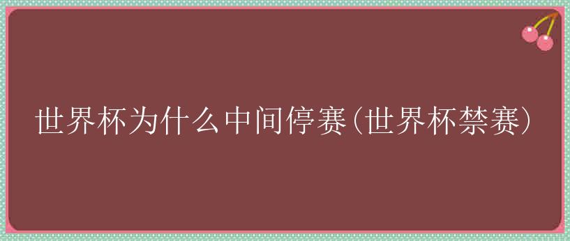 世界杯为什么中间停赛(世界杯禁赛)