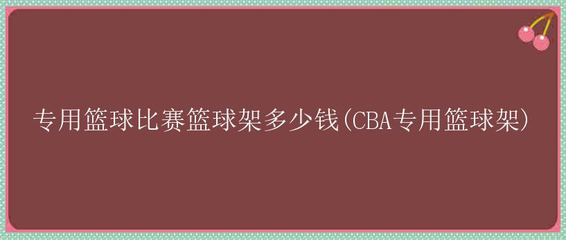 专用篮球比赛篮球架多少钱(CBA专用篮球架)