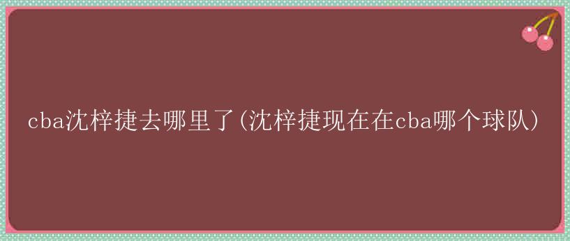 cba沈梓捷去哪里了(沈梓捷现在在cba哪个球队)