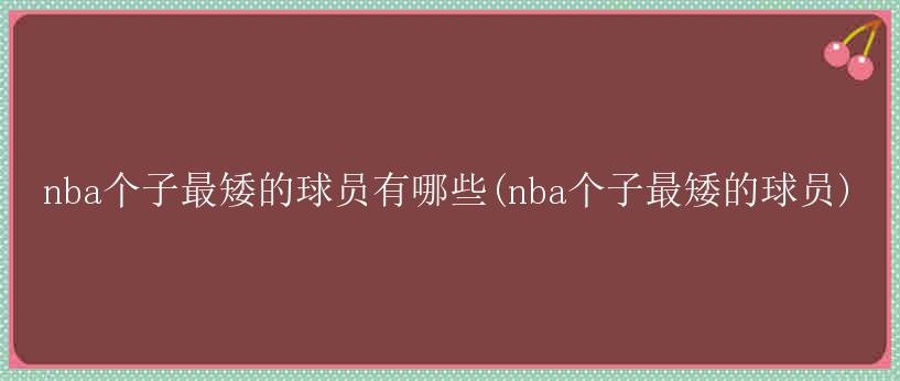 nba个子最矮的球员有哪些(nba个子最矮的球员)