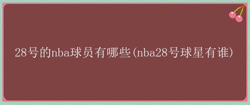 28号的nba球员有哪些(nba28号球星有谁)