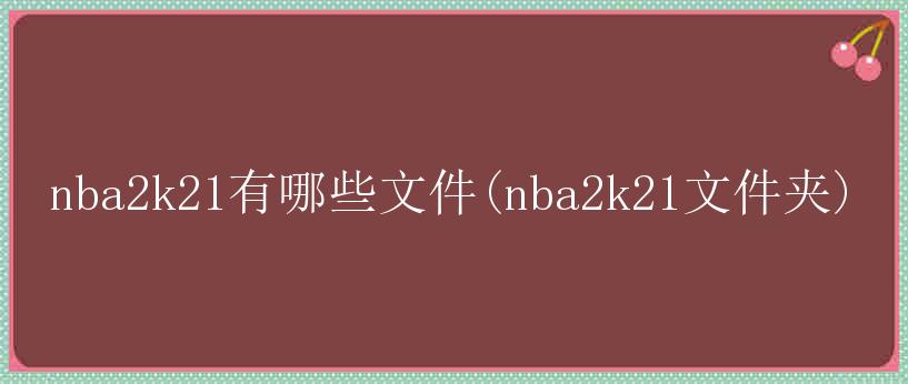 nba2k21有哪些文件(nba2k21文件夹)