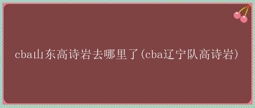 cba山东高诗岩去哪里了(cba辽宁队高诗岩)