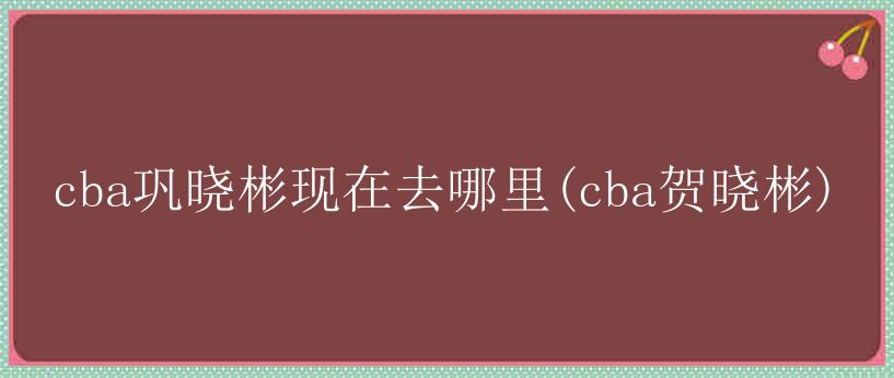 cba巩晓彬现在去哪里(cba贺晓彬)