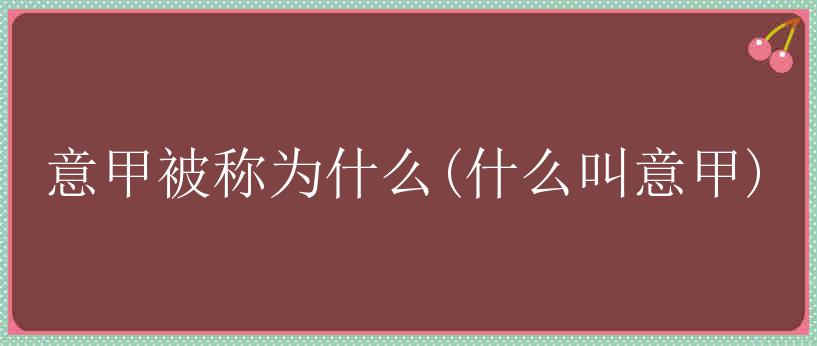 意甲被称为什么(什么叫意甲)