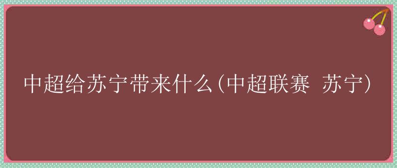 中超给苏宁带来什么(中超联赛 苏宁)