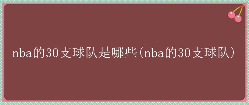 nba的30支球队是哪些(nba的30支球队)