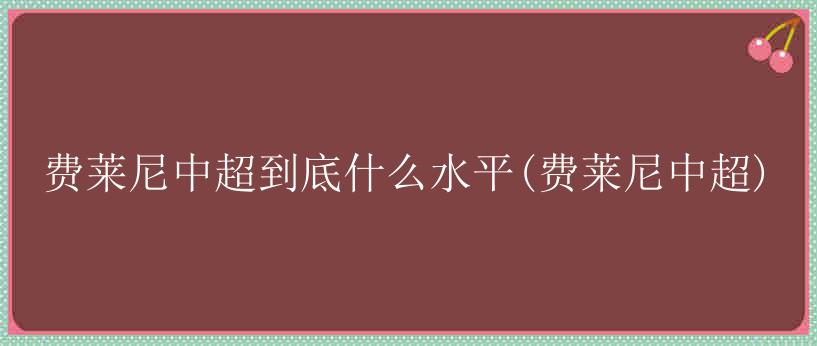 费莱尼中超到底什么水平(费莱尼中超)