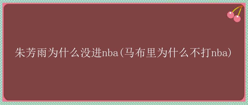 朱芳雨为什么没进nba(马布里为什么不打nba)