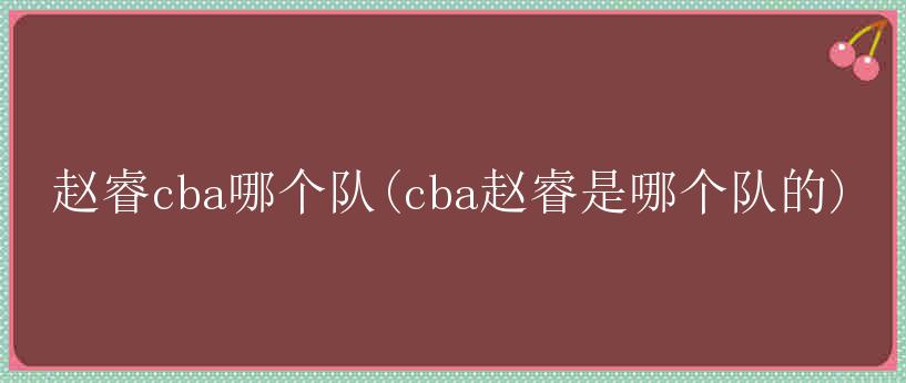 赵睿cba哪个队(cba赵睿是哪个队的)