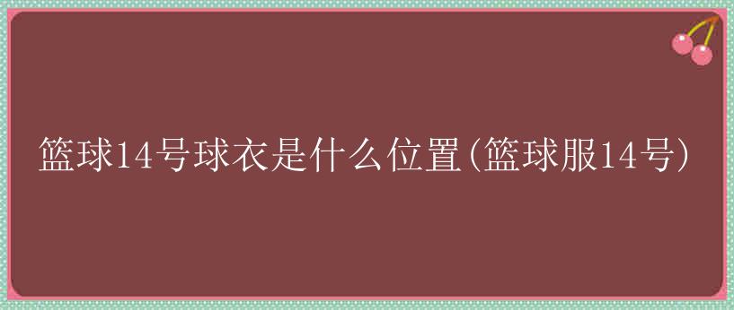 篮球14号球衣是什么位置(篮球服14号)