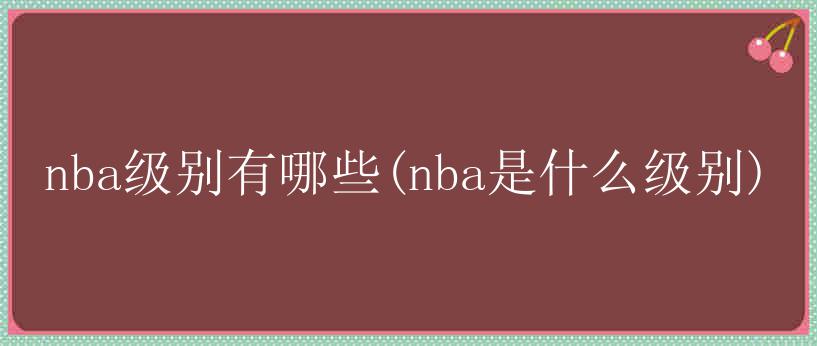 nba级别有哪些(nba是什么级别)