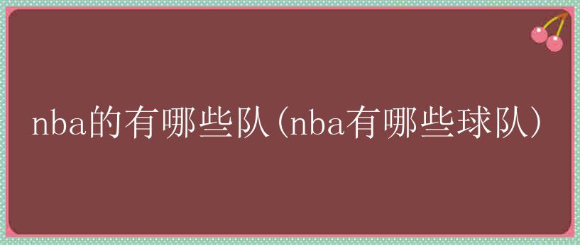 nba的有哪些队(nba有哪些球队)