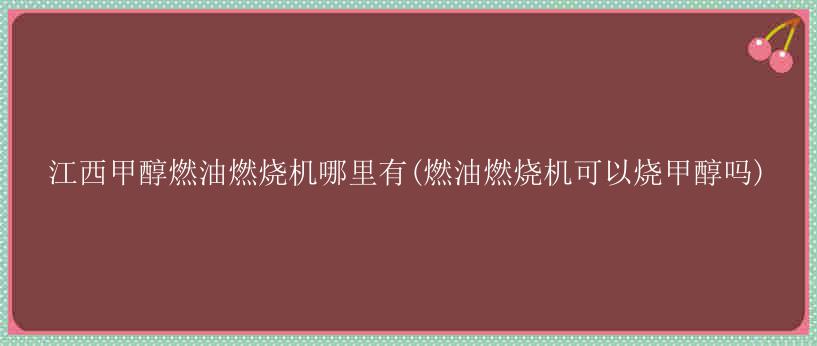 江西甲醇燃油燃烧机哪里有(燃油燃烧机可以烧甲醇吗)