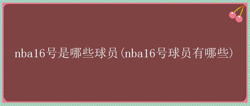 nba16号是哪些球员(nba16号球员有哪些)