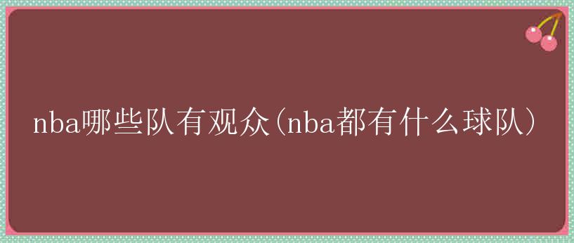 nba哪些队有观众(nba都有什么球队)