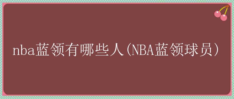 nba蓝领有哪些人(NBA蓝领球员)