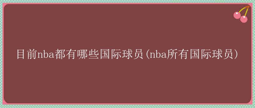 目前nba都有哪些国际球员(nba所有国际球员)