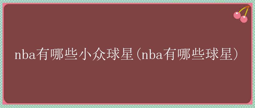 nba有哪些小众球星(nba有哪些球星)