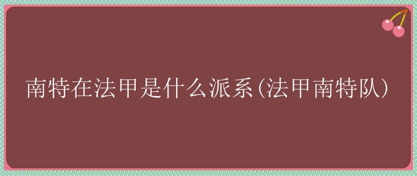 南特在法甲是什么派系(法甲南特队)