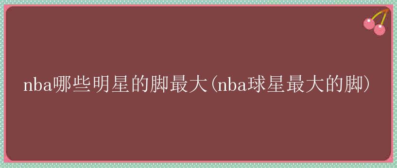 nba哪些明星的脚最大(nba球星最大的脚)