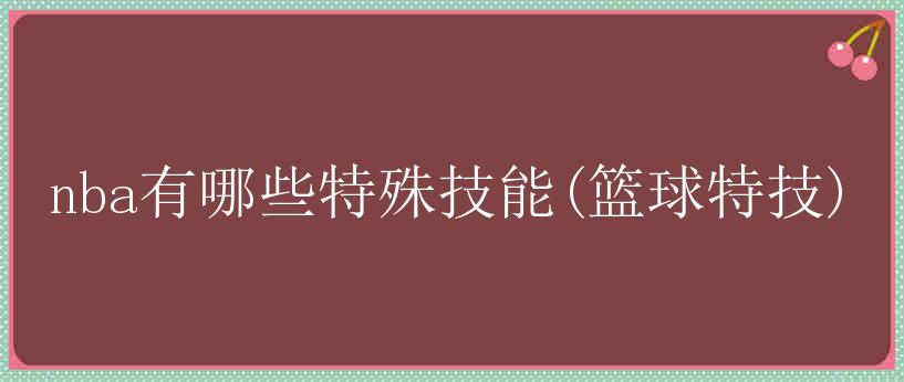 nba有哪些特殊技能(篮球特技)