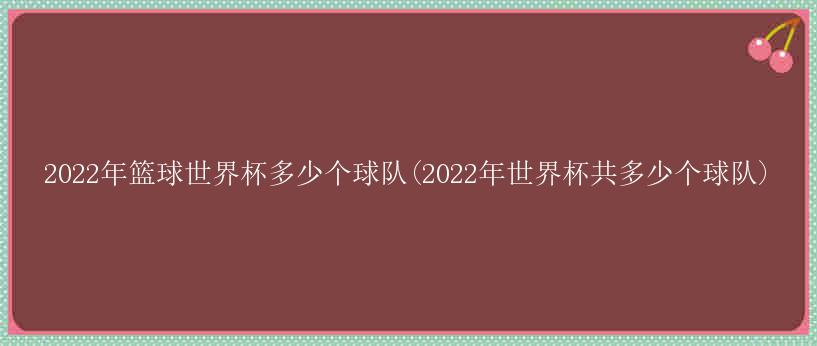 2022年篮球世界杯多少个球队(2022年世界杯共多少个球队)