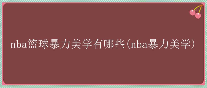 nba篮球暴力美学有哪些(nba暴力美学)