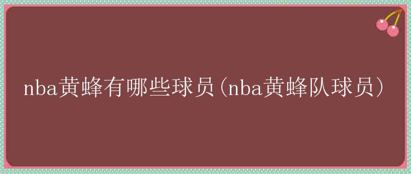 nba黄蜂有哪些球员(nba黄蜂队球员)