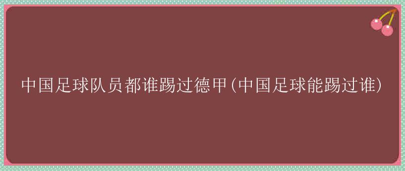 中国足球队员都谁踢过德甲(中国足球能踢过谁)