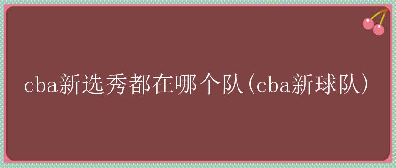 cba新选秀都在哪个队(cba新球队)