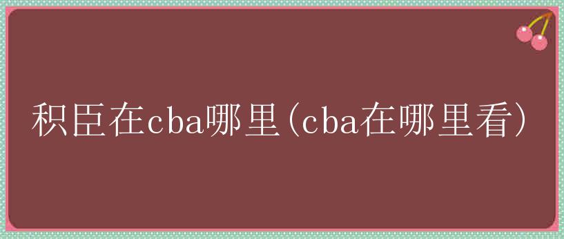 积臣在cba哪里(cba在哪里看)