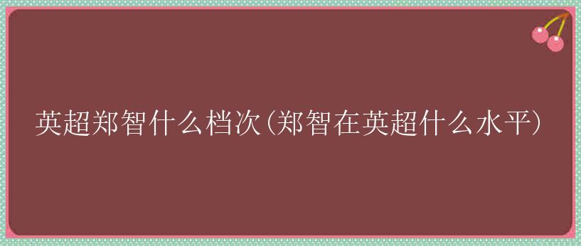 英超郑智什么档次(郑智在英超什么水平)