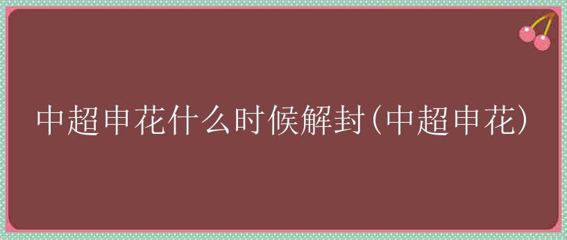 中超申花什么时候解封(中超申花)