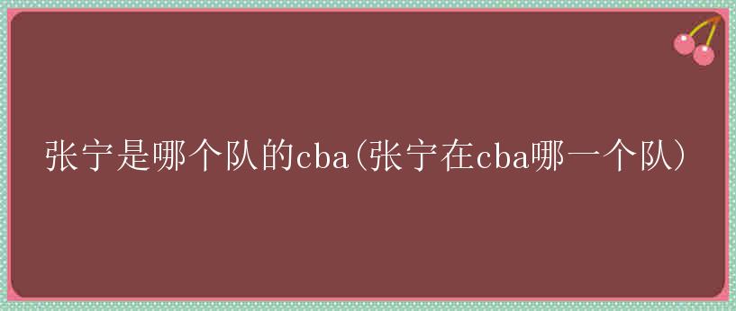 张宁是哪个队的cba(张宁在cba哪一个队)