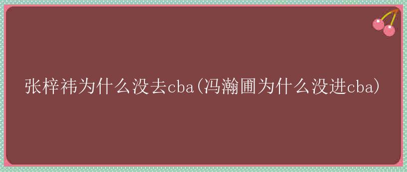 张梓祎为什么没去cba(冯瀚圃为什么没进cba)