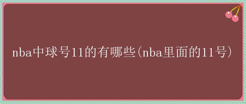 nba中球号11的有哪些(nba里面的11号)