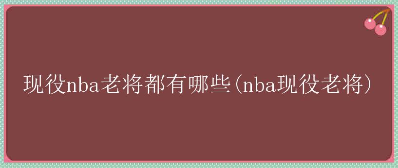 现役nba老将都有哪些(nba现役老将)