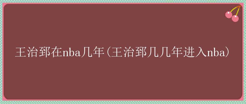 王治郅在nba几年(王治郅几几年进入nba)