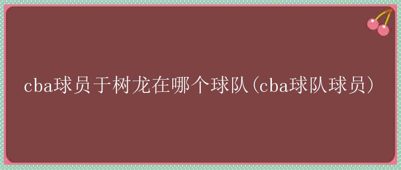 cba球员于树龙在哪个球队(cba球队球员)