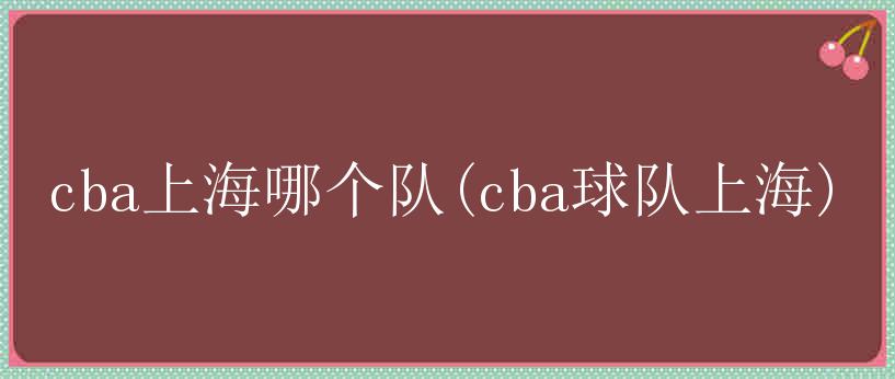 cba上海哪个队(cba球队上海)