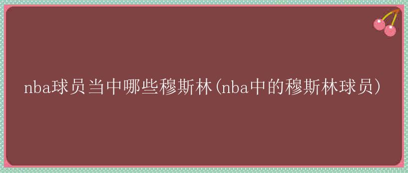 nba球员当中哪些穆斯林(nba中的穆斯林球员)