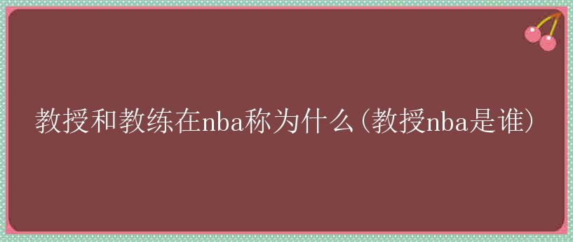 教授和教练在nba称为什么(教授nba是谁)