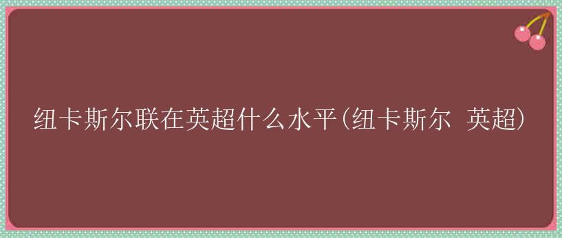 纽卡斯尔联在英超什么水平(纽卡斯尔 英超)