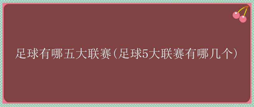 足球有哪五大联赛(足球5大联赛有哪几个)