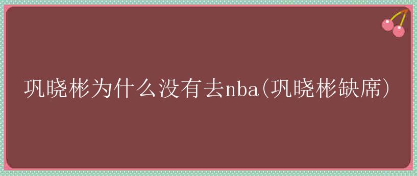 巩晓彬为什么没有去nba(巩晓彬缺席)