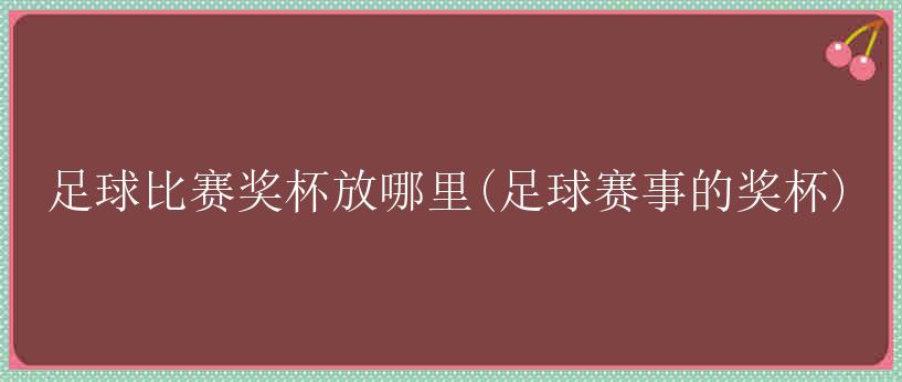 足球比赛奖杯放哪里(足球赛事的奖杯)