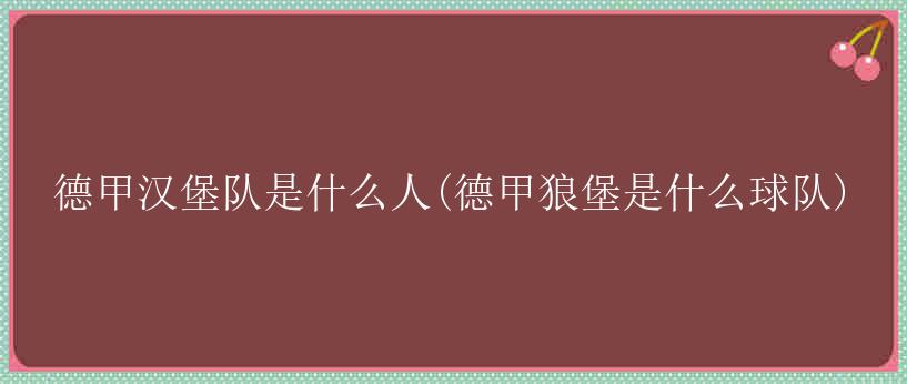 德甲汉堡队是什么人(德甲狼堡是什么球队)